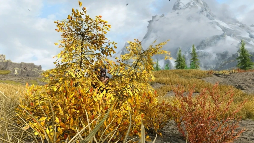 Для Skyrim вышел мод, который наконец позволяет реально прятаться в кустах